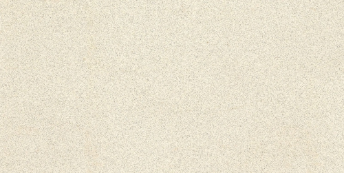 WSA010ɳS