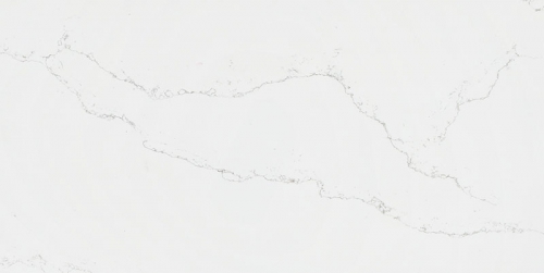WSG301FP